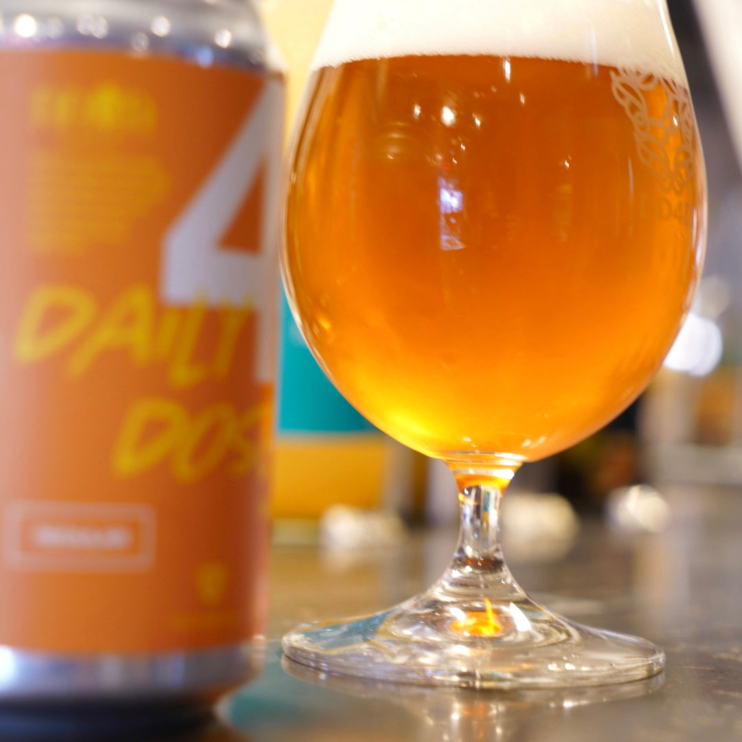 DAILY DOSE (Sour Ale)