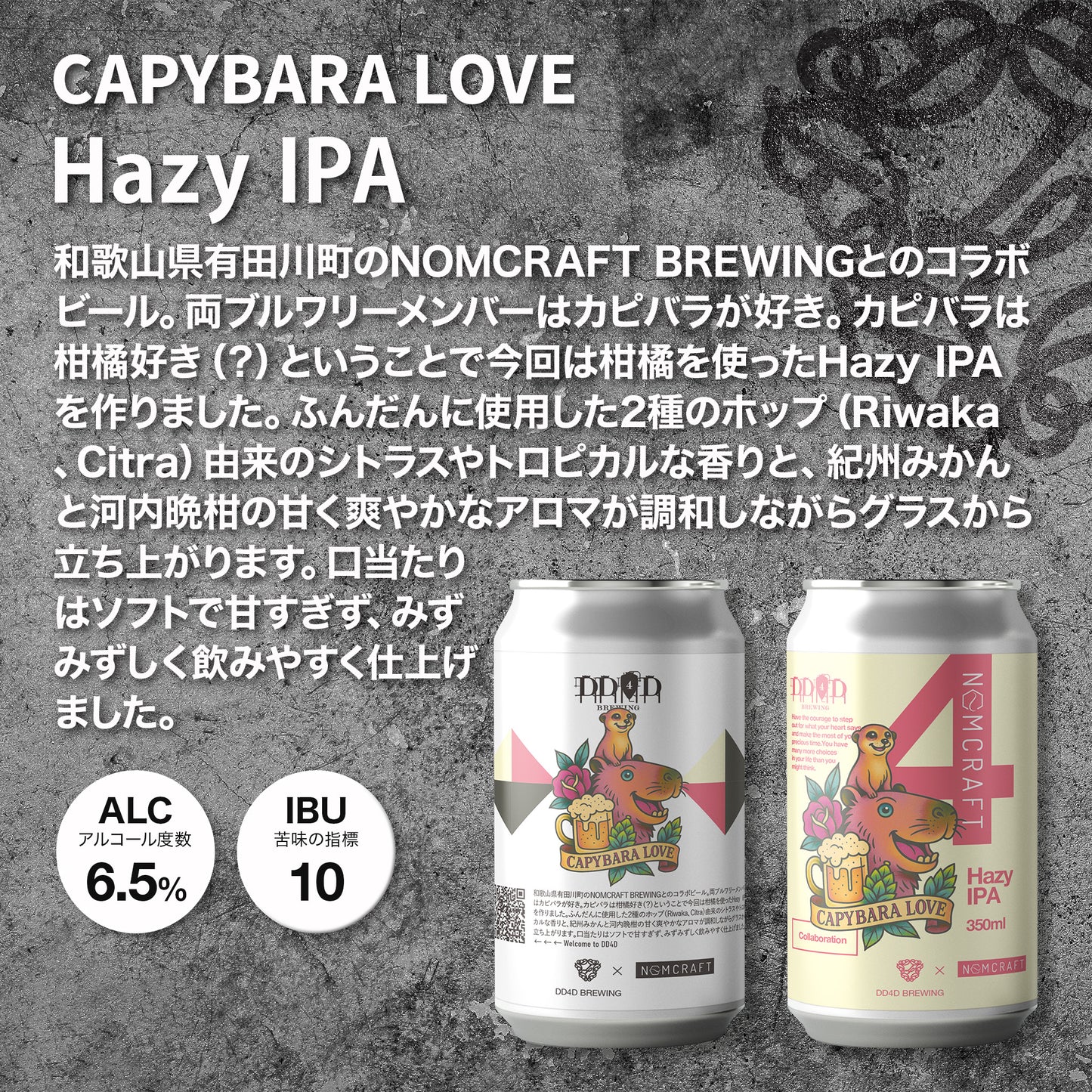 IPA飲み比べセット6本入り (送料無料) 26年1月13日リニューアル